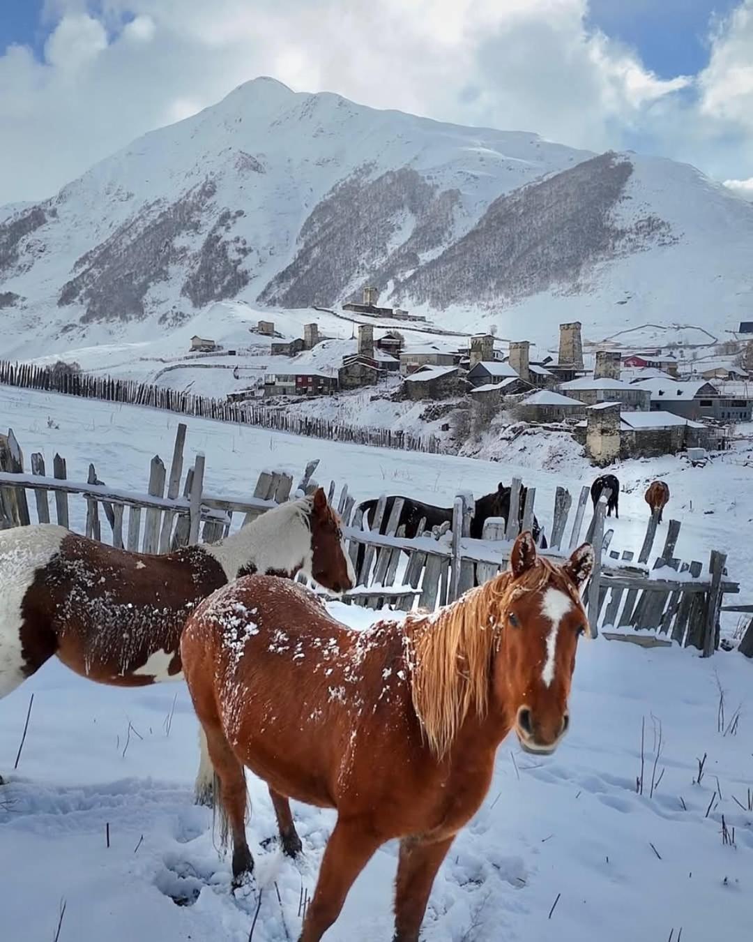 Chvibiani Guesthouse & Bar Ushguli Buitenkant foto