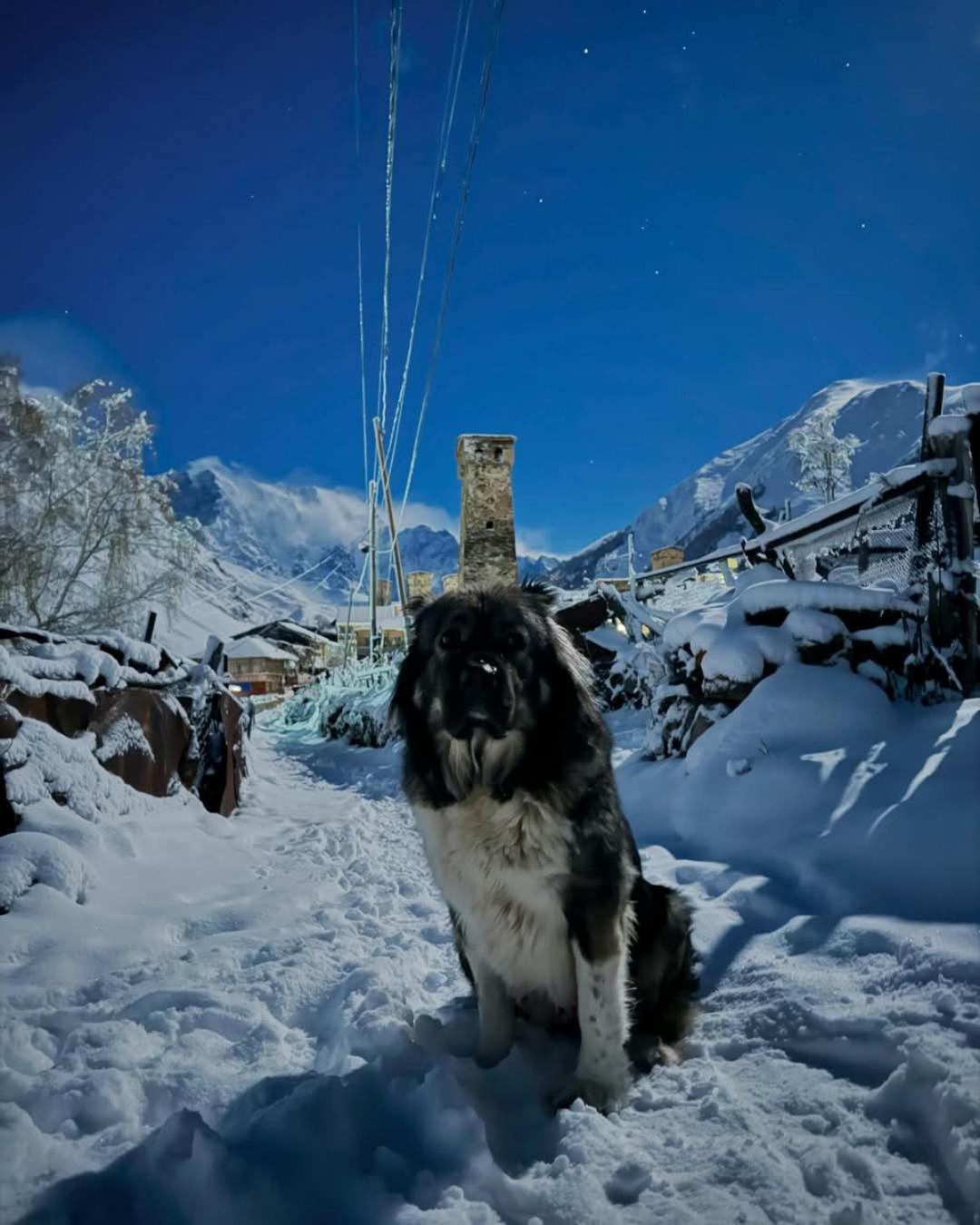 Chvibiani Guesthouse & Bar Ushguli Buitenkant foto